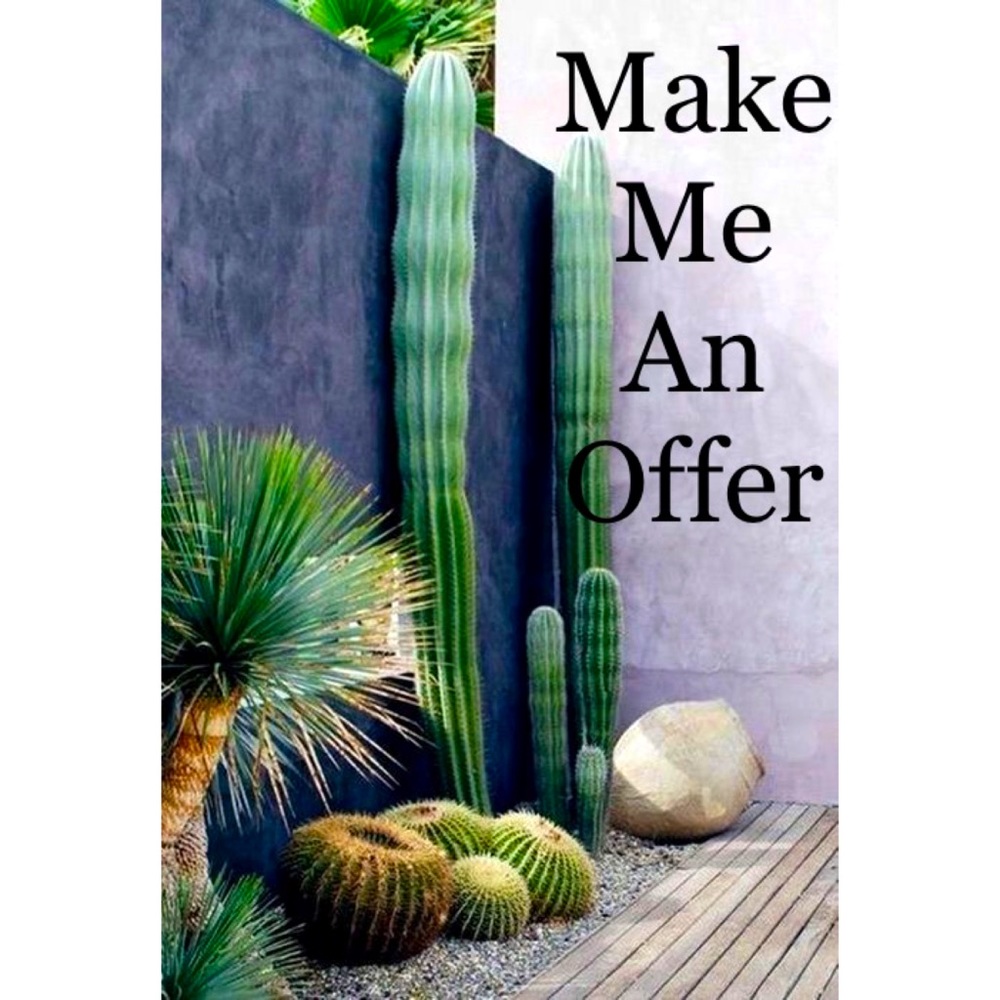 🌵🌵🌵